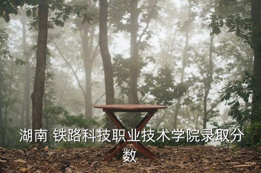  湖南 鐵路科技職業(yè)技術(shù)學(xué)院錄取分?jǐn)?shù)