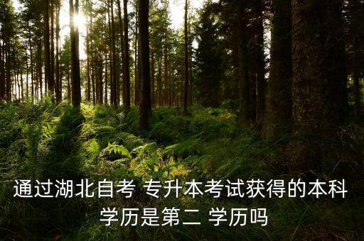 專升本能報第二學(xué)歷嗎,第二學(xué)歷為什么顯示專升本