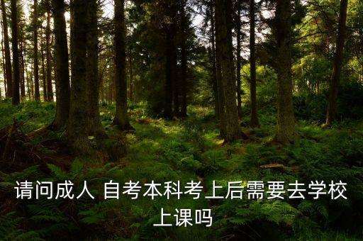 請問成人 自考本科考上后需要去學(xué)校 上課嗎