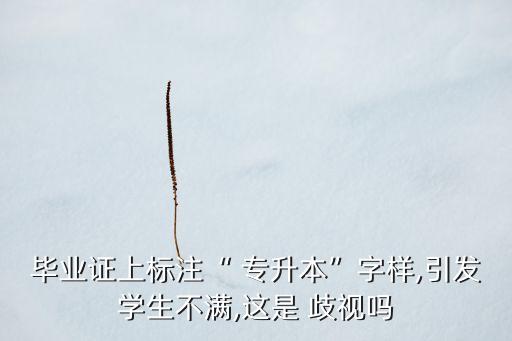 畢業(yè)證上標(biāo)注“ 專(zhuān)升本”字樣,引發(fā)學(xué)生不滿(mǎn),這是 歧視嗎