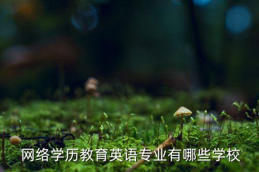  網(wǎng)絡學歷教育英語專業(yè)有哪些學校