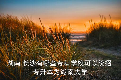 湖南 長沙有哪些專科學(xué)?？梢越y(tǒng)招 專升本為湖南大學(xué)