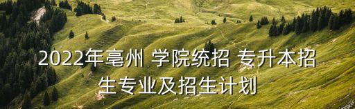 2022年亳州 學(xué)院統(tǒng)招 專升本招生專業(yè)及招生計(jì)劃