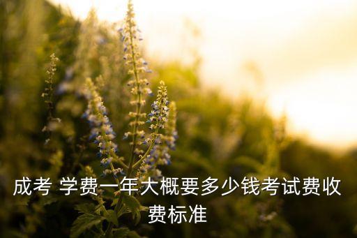 成考 學(xué)費(fèi)一年大概要多少錢(qián)考試費(fèi)收費(fèi)標(biāo)準(zhǔn)