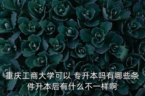 重慶工商大學可以 專升本嗎有哪些條件升本后有什么不一樣啊