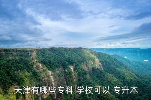  天津有哪些?？?學?？梢?專升本