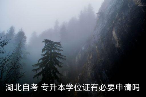 湖北自考 專升本學(xué)位證有必要申請(qǐng)嗎
