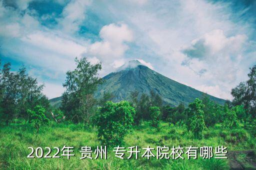 貴州醫(yī)?？梢詫Ｉ締?黔南醫(yī)專可以專升本到貴州的哪些學(xué)校?