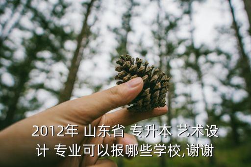2012年 山東省 專升本 藝術(shù)設(shè)計 專業(yè)可以報哪些學(xué)校,謝謝