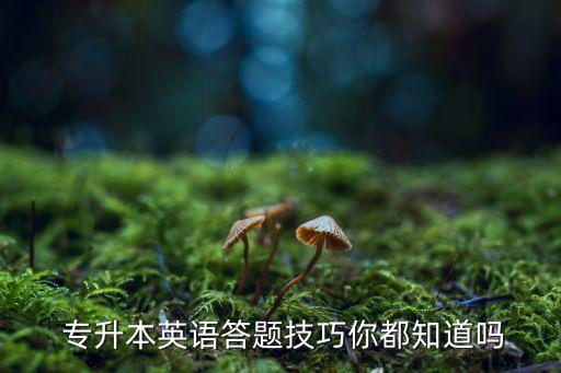  專升本英語答題技巧你都知道嗎