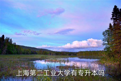 上海第二工業(yè)大學有專升本嗎
