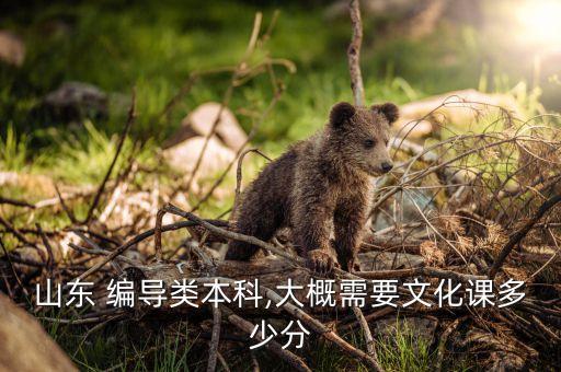 山東 編導類本科,大概需要文化課多少分