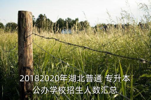 20182020年湖北普通 專升本公辦學校招生人數(shù)匯總