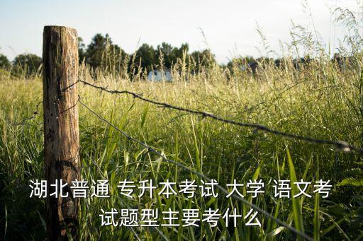 湖北普通 專升本考試 大學(xué) 語文考試題型主要考什么