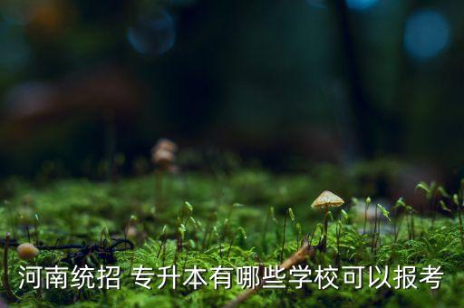 河南統(tǒng)招 專升本有哪些學校可以報考