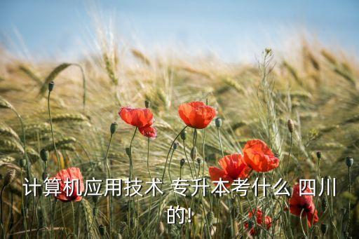 計算機應(yīng)用技術(shù) 專升本考什么 四川的!