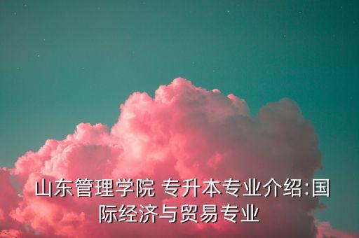  山東管理學(xué)院 專(zhuān)升本專(zhuān)業(yè)介紹:國(guó)際經(jīng)濟(jì)與貿(mào)易專(zhuān)業(yè)