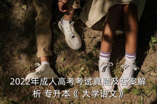 2022年成人高考考試真題及答案解析 專升本《 大學語文》