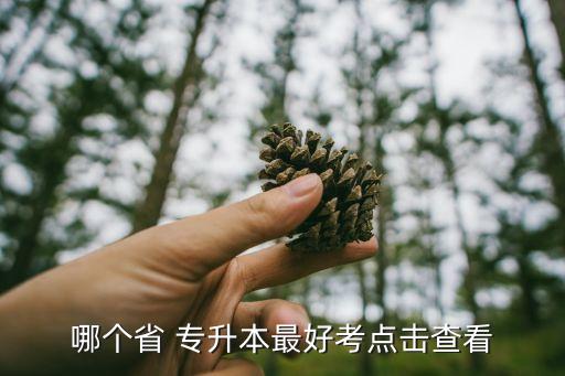 哪個(gè)省 專(zhuān)升本最好考點(diǎn)擊查看