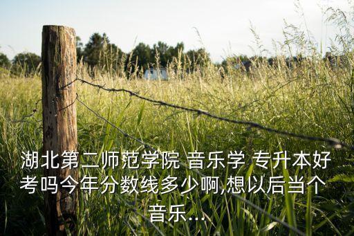 湖北第二師范學(xué)院 音樂學(xué) 專升本好考嗎今年分?jǐn)?shù)線多少啊,想以后當(dāng)個(gè) 音樂...
