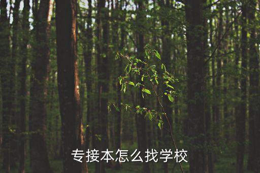 專接本怎么找學(xué)校