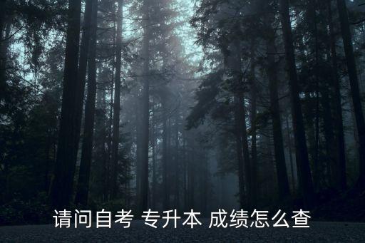 專升本成績(jī)查詢2013