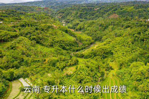 云南公辦?？茖W(xué)校   專升本,云南哪些專科學(xué)?？梢詫Ｉ? /></a><a href=