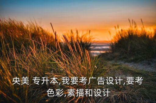 央美 專升本,我要考廣告設(shè)計(jì),要考 色彩,素描和設(shè)計(jì)