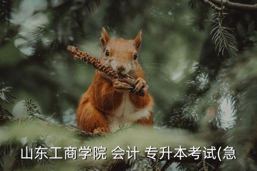 山東省會計專升本真題,2021年專升本會計真題