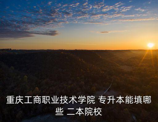 重慶工商職業(yè)技術(shù)學(xué)院 專(zhuān)升本能填哪些 二本院校