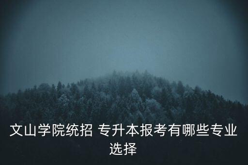 文山學(xué)院統(tǒng)招 專升本報考有哪些專業(yè)選擇