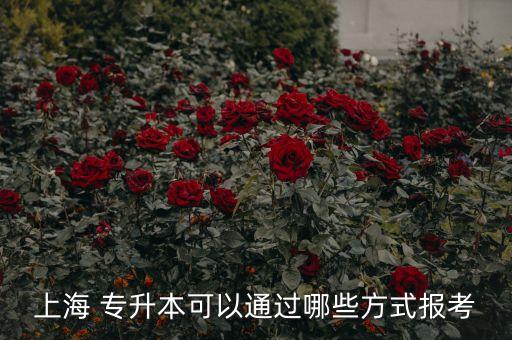 上海 專(zhuān)升本可以通過(guò)哪些方式報(bào)考