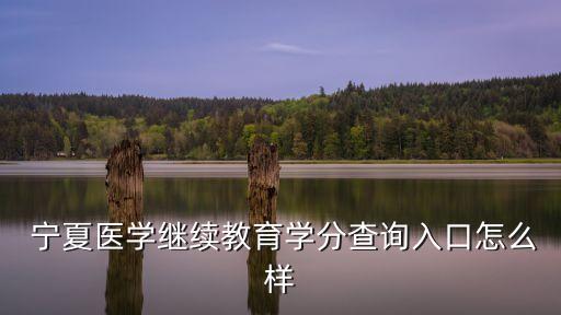  寧夏醫(yī)學繼續(xù)教育學分查詢?nèi)肟谠趺礃? class=