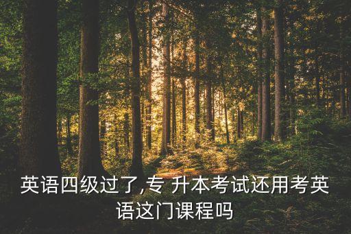 英語(yǔ)四級(jí)過(guò)了,專 升本考試還用考英語(yǔ)這門課程嗎