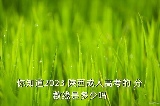 你知道2023 陜西成人高考的 分數(shù)線是多少嗎