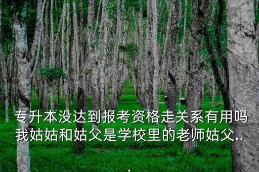  專(zhuān)升本沒(méi)達(dá)到報(bào)考資格走關(guān)系有用嗎我姑姑和姑父是學(xué)校里的老師姑父...