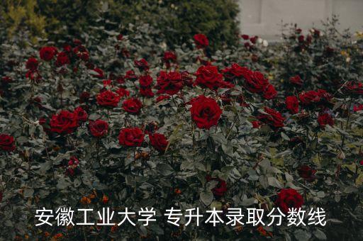 安徽工業(yè)大學 專升本錄取分數(shù)線