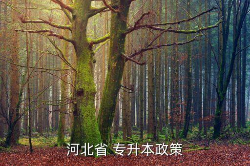 河北省 專(zhuān)升本政策