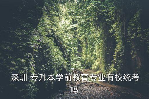 深圳大學停止專升本,專升本可以考深圳大學嗎