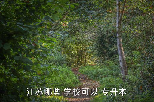 江蘇哪些 學(xué)?？梢?專升本