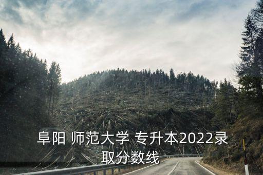  阜陽(yáng) 師范大學(xué) 專升本2022錄取分?jǐn)?shù)線
