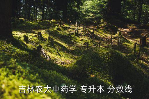  吉林農(nóng)大中藥學 專升本 分數(shù)線