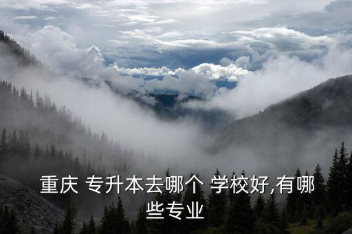  重慶 專(zhuān)升本去哪個(gè) 學(xué)校好,有哪些專(zhuān)業(yè)