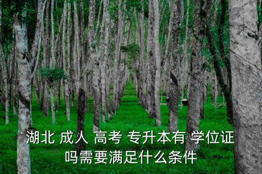 湖北 成人 高考 專升本有 學(xué)位證嗎需要滿足什么條件
