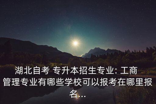 湖北自考 專升本招生專業(yè): 工商 管理專業(yè)有哪些學(xué)?？梢詧?bào)考在哪里報(bào)名...