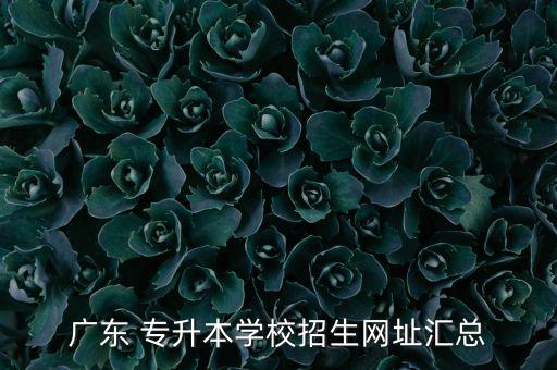廣東 專升本學校招生網(wǎng)址匯總