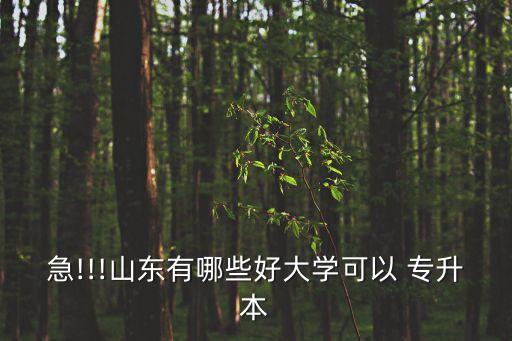 急!!!山東有哪些好大學可以 專升本