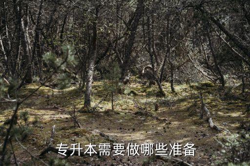  專升本需要做哪些準(zhǔn)備