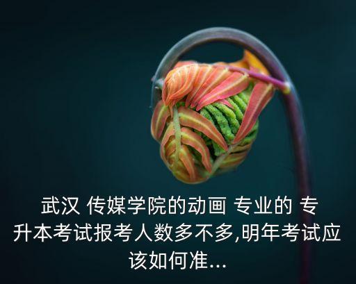  武漢 傳媒學院的動畫 專業(yè)的 專升本考試報考人數多不多,明年考試應該如何準...