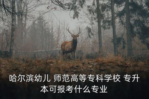 哈爾濱幼兒 師范高等?？茖W校 專升本可報考什么專業(yè)